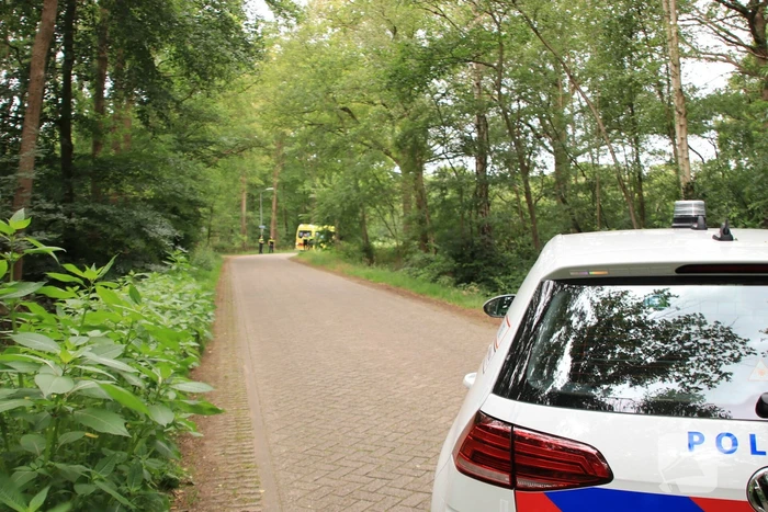 Ruiter overleden na val van paard
