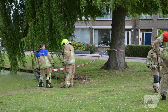 Brandweer redt eendenfamilie
