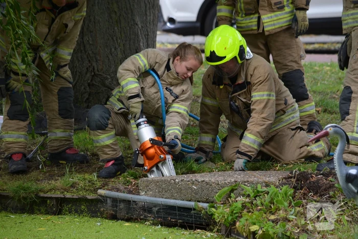 nieuws huijgenslaan berkel en rodenrijs