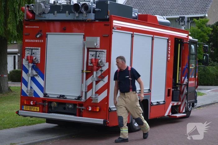 Brandweer redt eendenfamilie