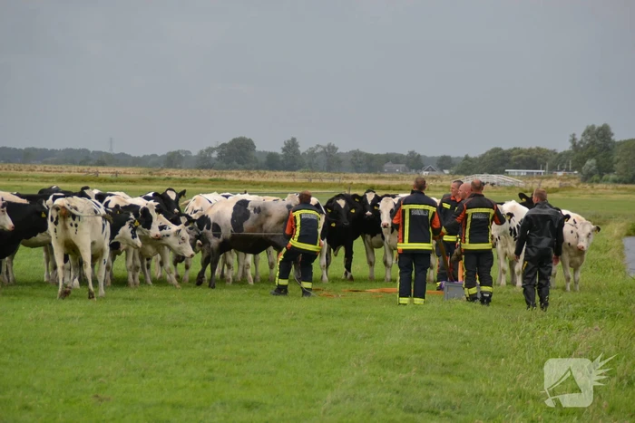nieuws nieuweweg leiderdorp