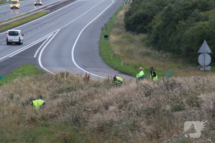 Grote zoekactie naar onder auto vandaan gevallen kitten