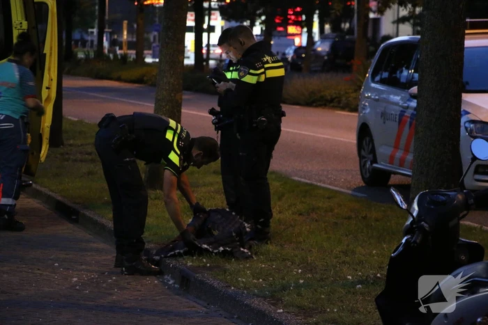 Fietser gewond na botsing met boom