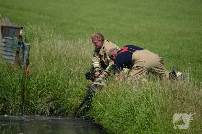 natuur imkerstraat berkel en rodenrijs