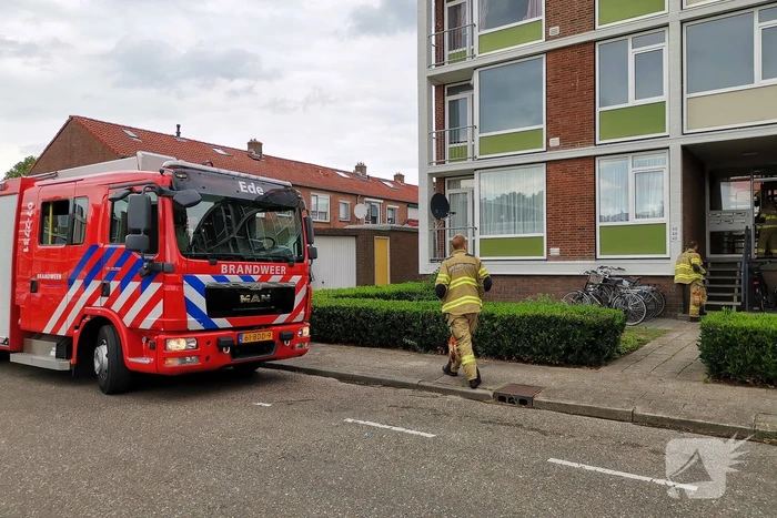 milieu anjelierlaan ede
