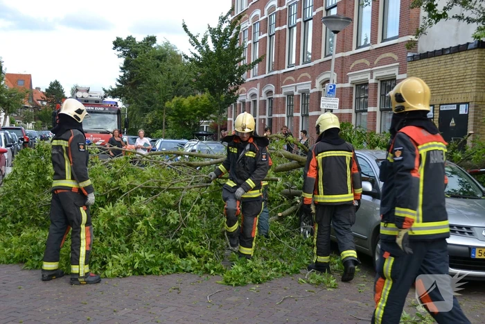 Boom breekt af en valt tegen achterkant van auto