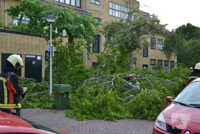 Boom breekt af en valt tegen achterkant van auto