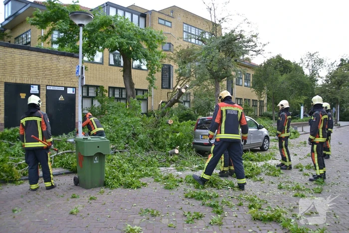 Boom breekt af en valt tegen achterkant van auto