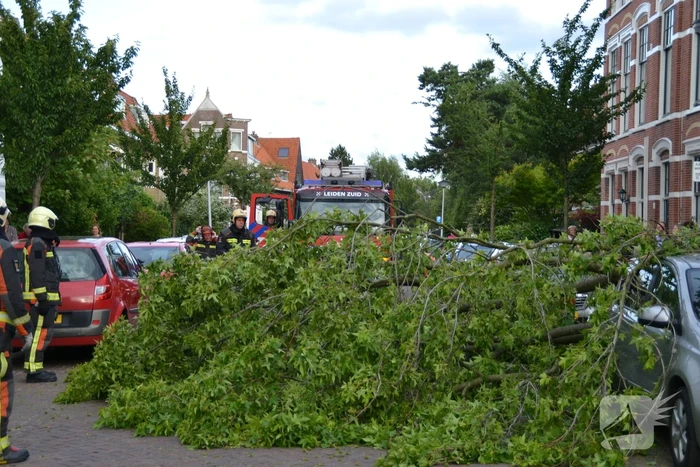 Boom breekt af en valt tegen achterkant van auto