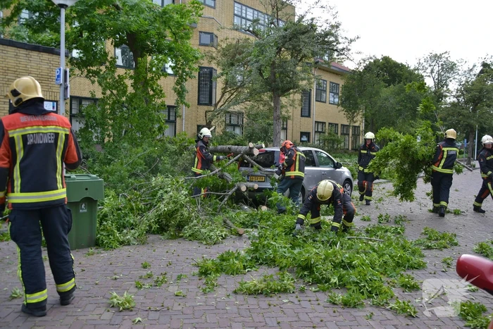 Boom breekt af en valt tegen achterkant van auto