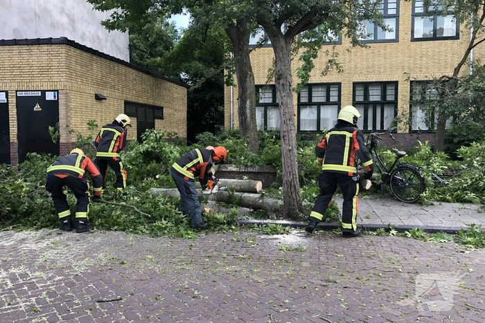 Boom breekt af en valt tegen achterkant van auto