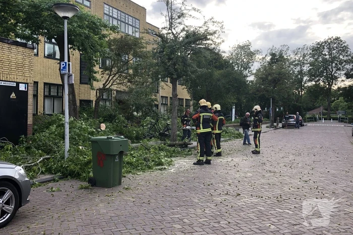 Boom breekt af en valt tegen achterkant van auto