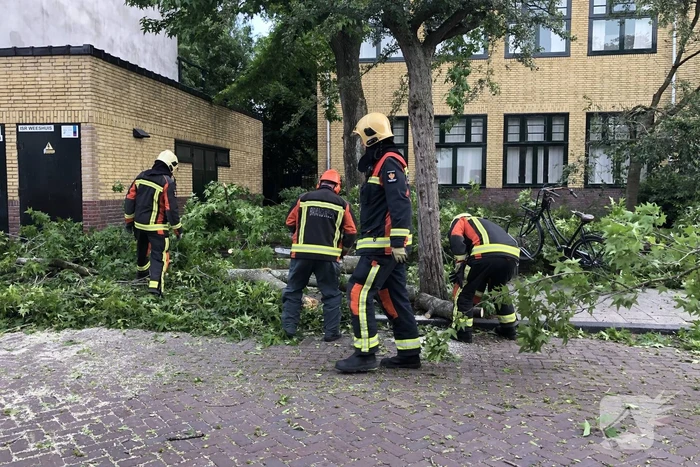 Boom breekt af en valt tegen achterkant van auto