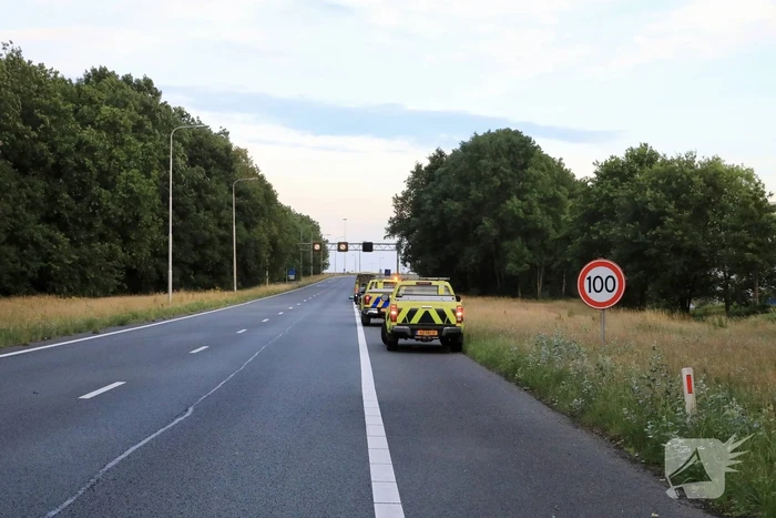 Auto crasht tussen bomen door