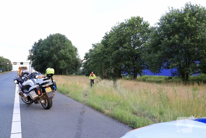 Auto crasht tussen bomen door