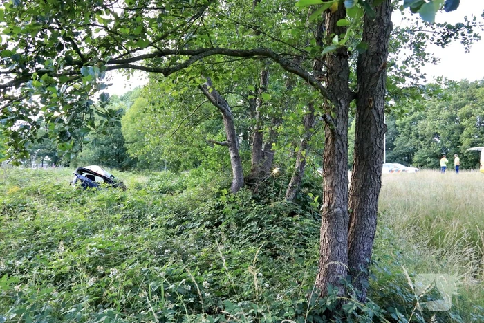 Auto crasht tussen bomen door
