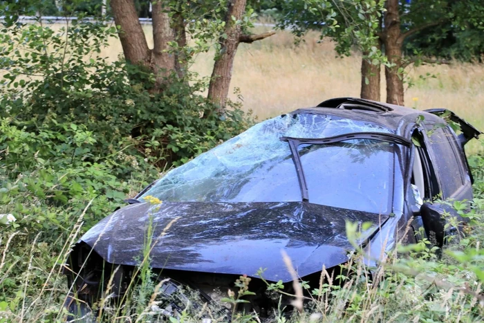 Auto crasht tussen bomen door