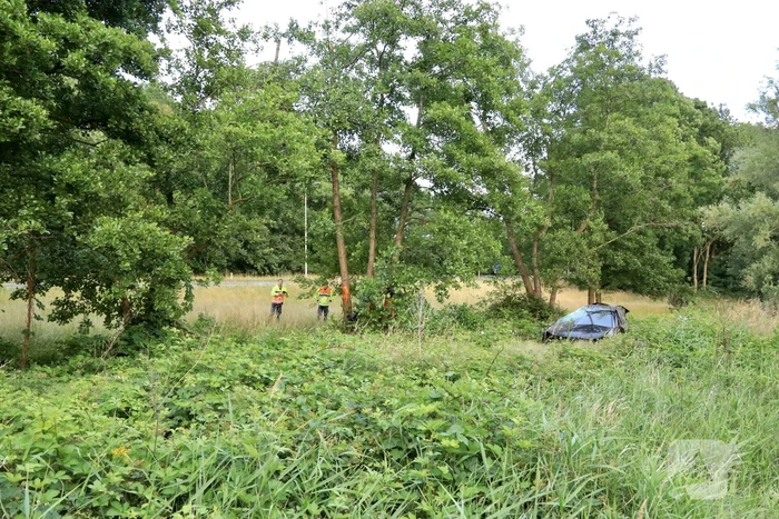 Auto crasht tussen bomen door