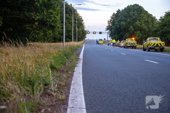 Auto crasht tussen bomen door
