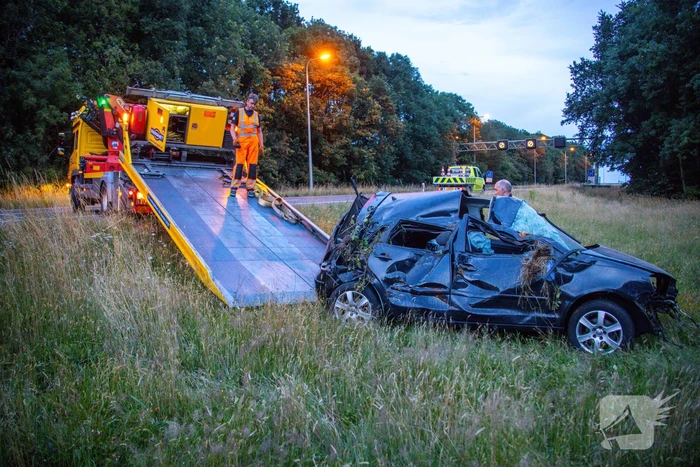 Auto crasht tussen bomen door