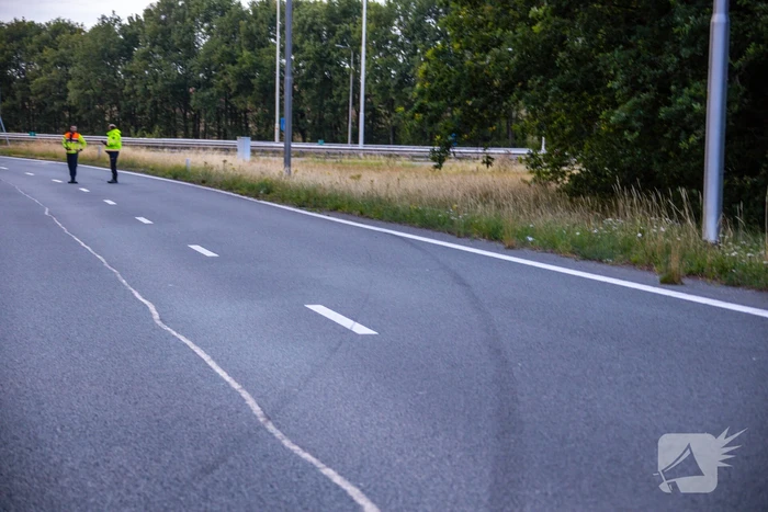Auto crasht tussen bomen door