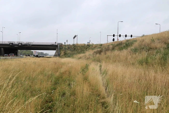 Gezin belandt met auto in de berm