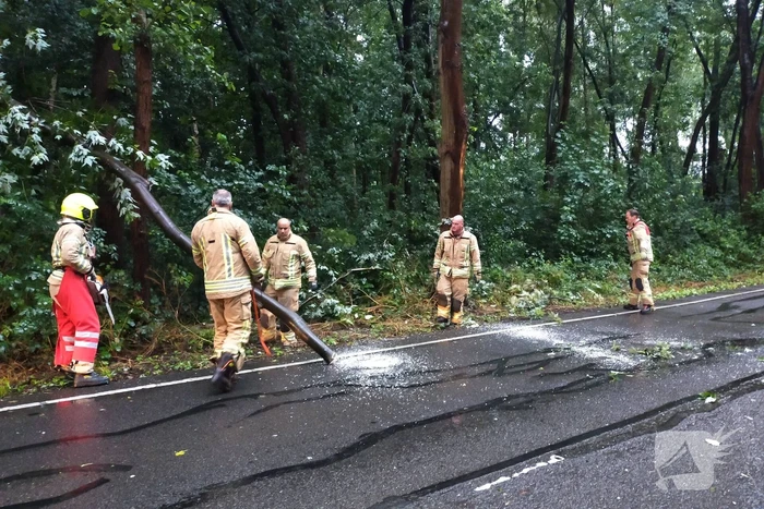Omgewaaide boom verspert weg