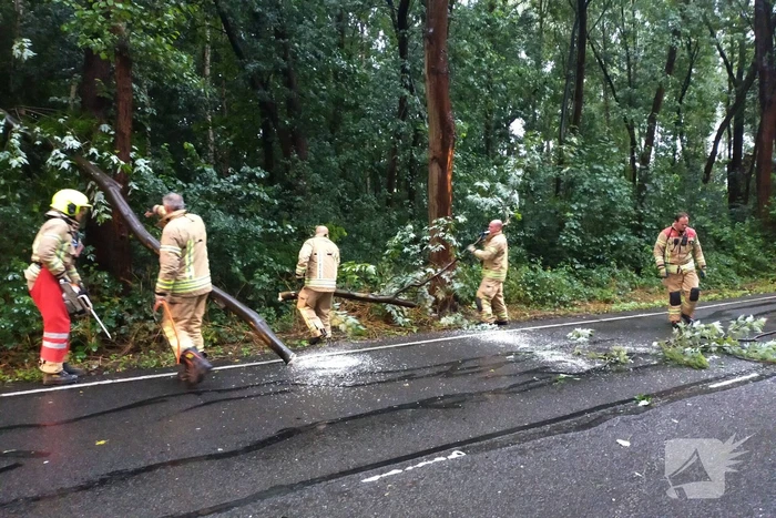 Omgewaaide boom verspert weg