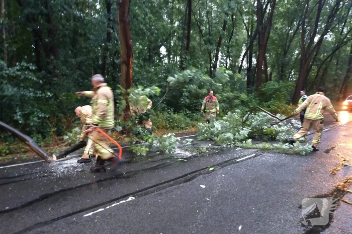 Omgewaaide boom verspert weg