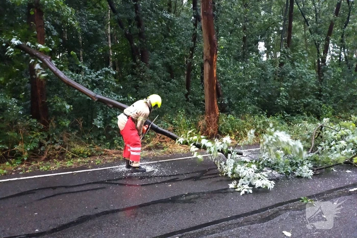 Omgewaaide boom verspert weg