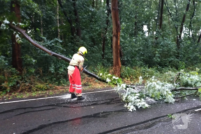 Omgewaaide boom verspert weg