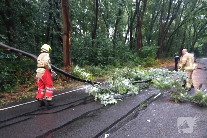 Omgewaaide boom verspert weg