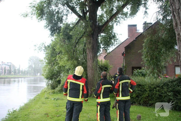 Grote tak van boom afgescheurd