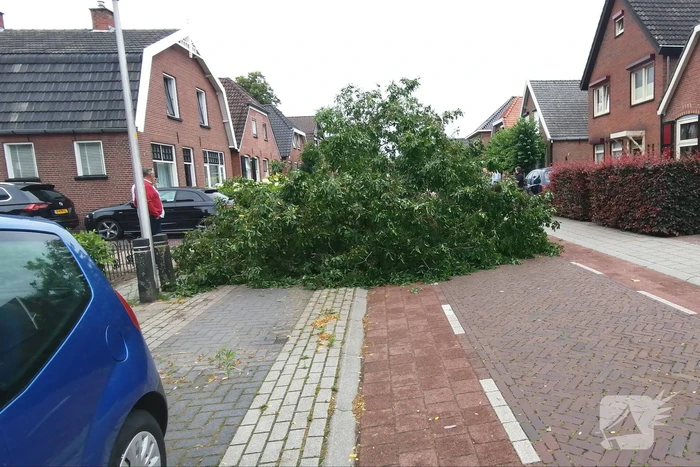 nieuws tabaksgaarden rijssen
