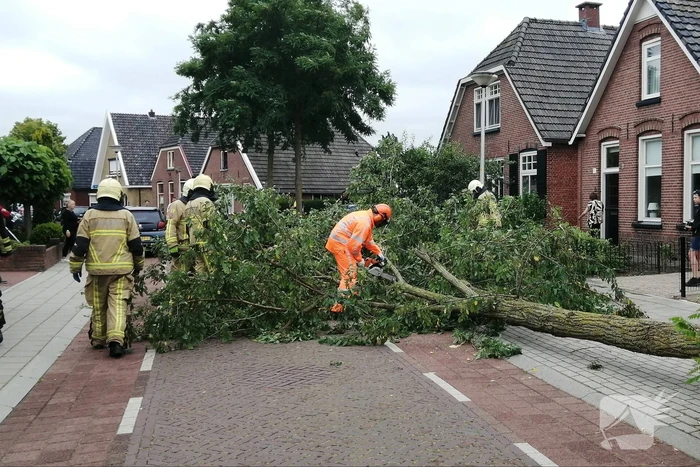 Weg verspert door omgewaaide boom