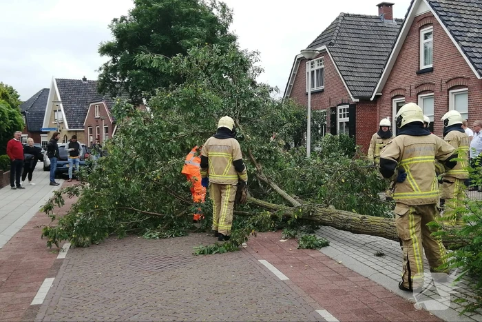 Weg verspert door omgewaaide boom