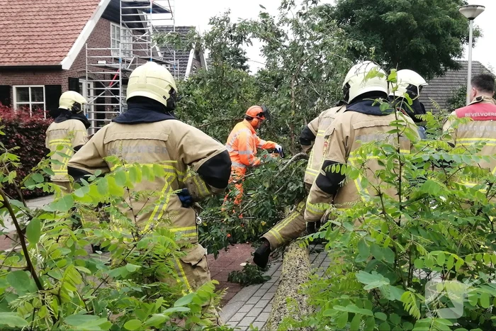 Weg verspert door omgewaaide boom