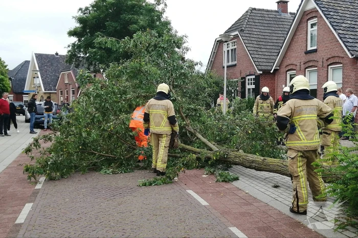 Weg verspert door omgewaaide boom