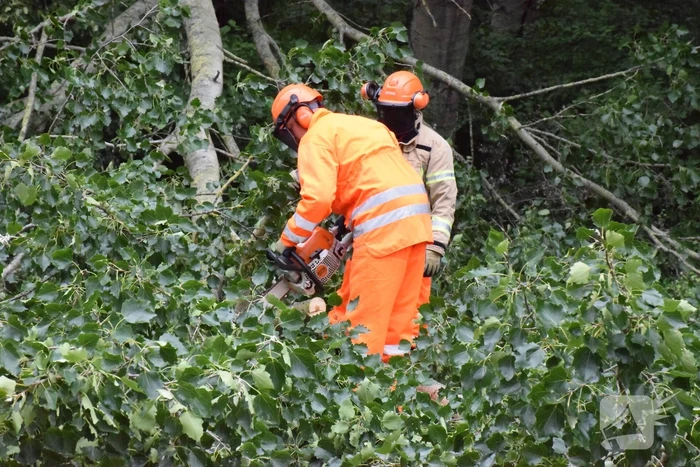 Grote tak breekt van boom en valt op voetpad