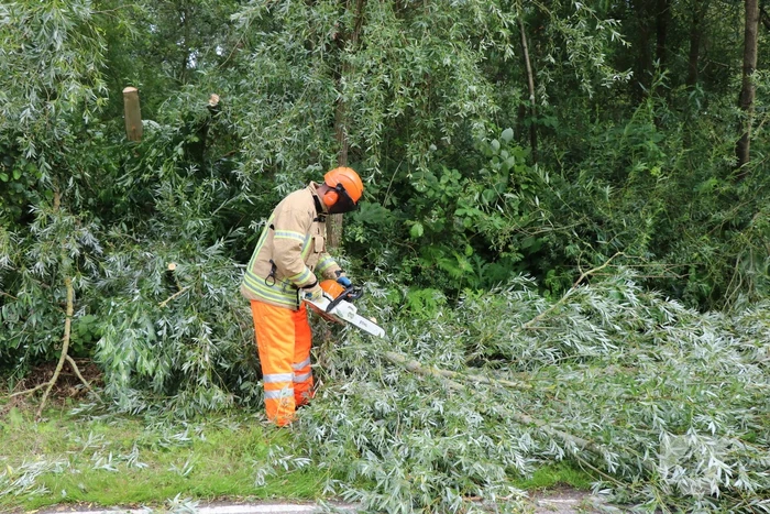 Omgevallen boom versperd de weg