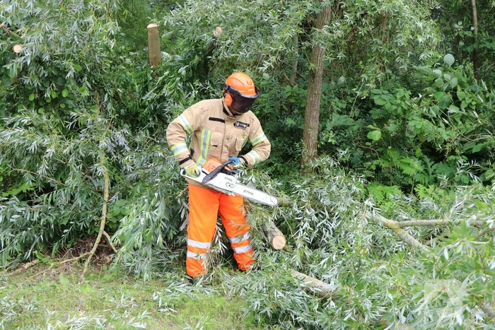Omgevallen boom versperd de weg