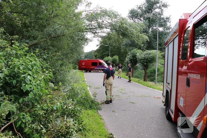 Omgevallen boom versperd de weg