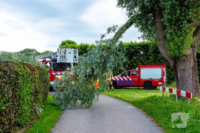 Afgebroken tak verpletterd verkeersbord