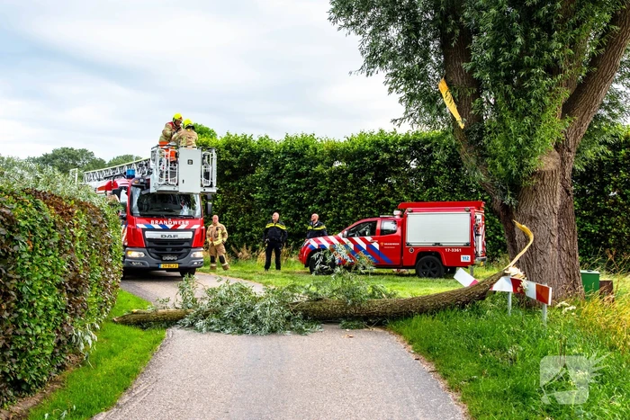 Afgebroken tak verpletterd verkeersbord