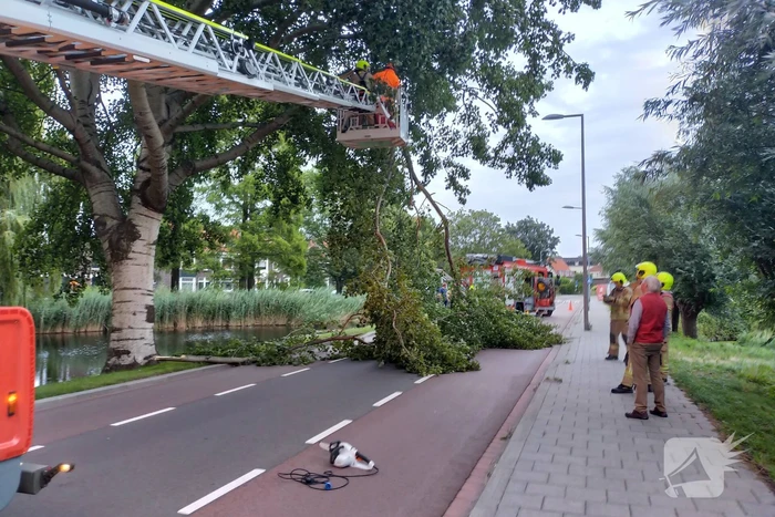 Brandweer verwijderd tak op doorgaande weg