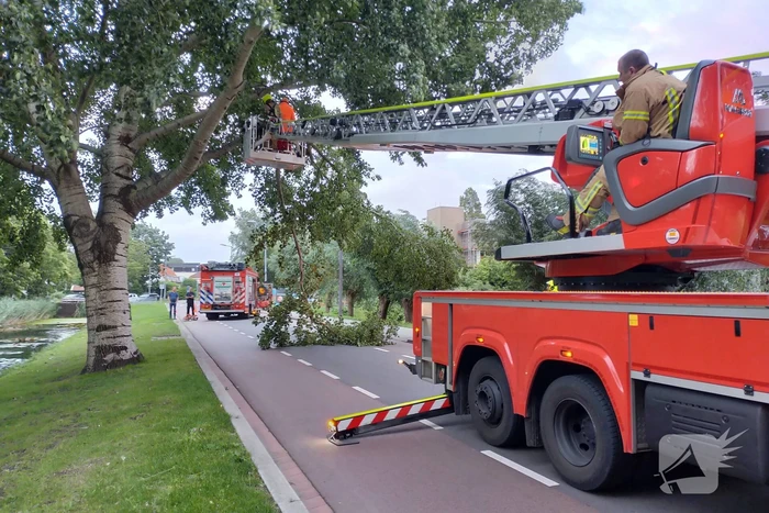 Brandweer verwijderd tak op doorgaande weg