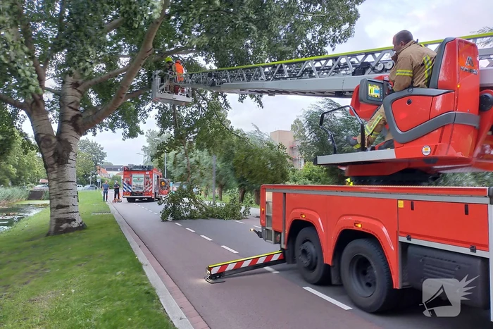 Brandweer verwijderd tak op doorgaande weg