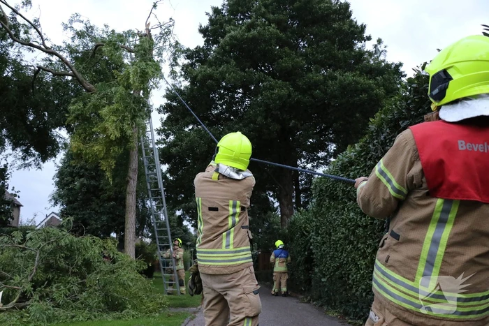 nieuws concours krimpen aan den ijssel