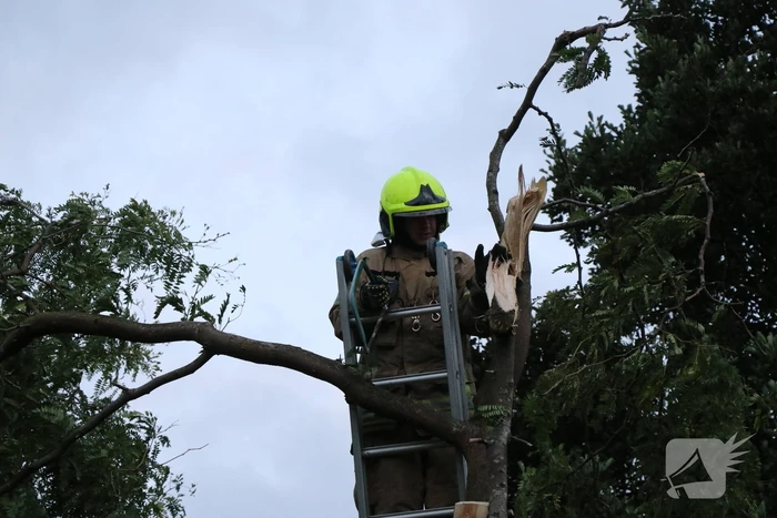 Meerdere gevaarlijk hangende takken verwijderd