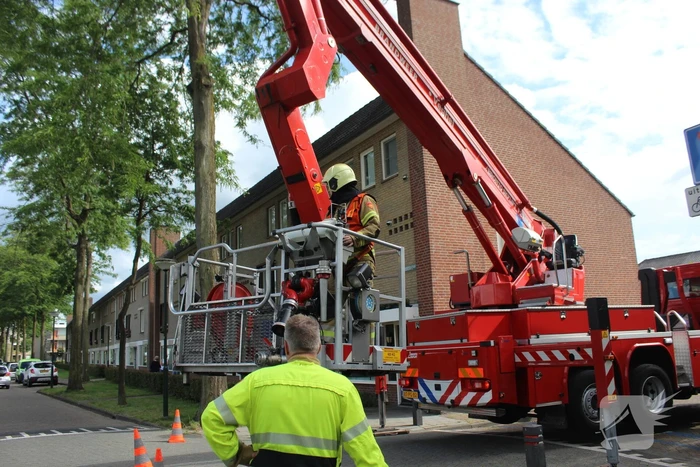 Levensgevaarlijk tak verwijdert met hoogwerker
